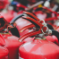 types of fire safety equipment